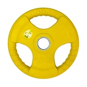 FitNord Tri Grip Color Viktplatta 15 kg 1