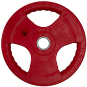 FitNord Tri Grip Color Viktplatta 25 kg 1