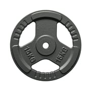 FitNord Viktskiva med grepp 30 mm, Gjutjärn 15 kg 1