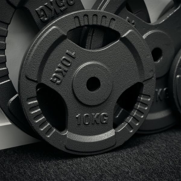 FitNord Viktskiva med grepp 30 mm, Gjutjärn 10 kg 3