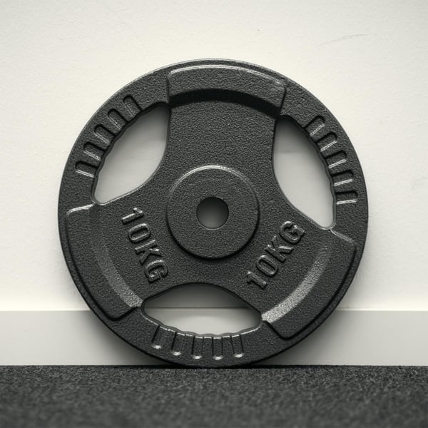 FitNord Viktskiva med grepp 30 mm, Gjutjärn 10 kg 2