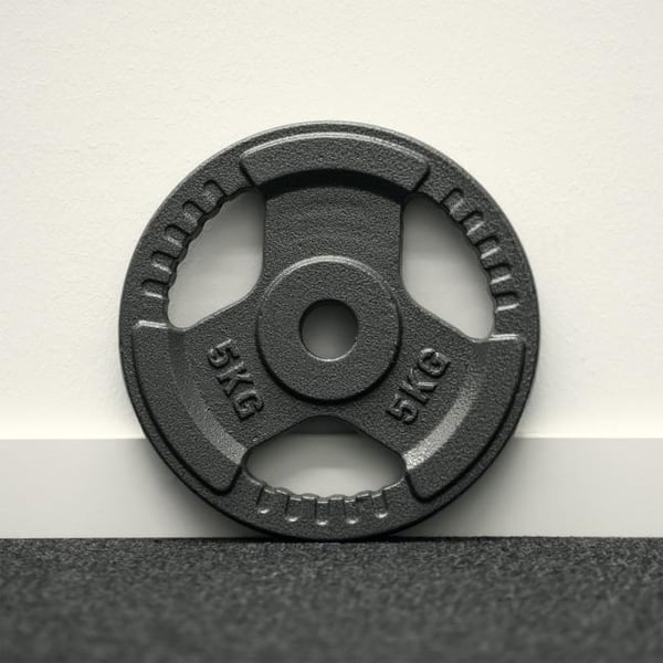 FitNord Viktskiva med grepp 30 mm, Gjutjärn 5 kg 3