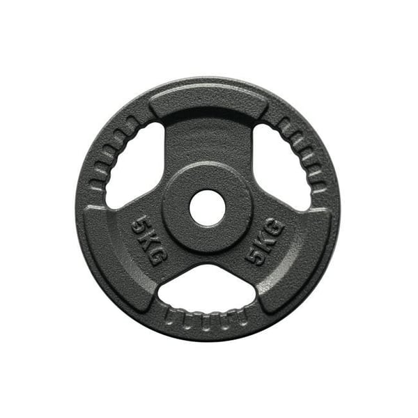 FitNord Viktskiva med grepp 30 mm, Gjutjärn 5 kg 1