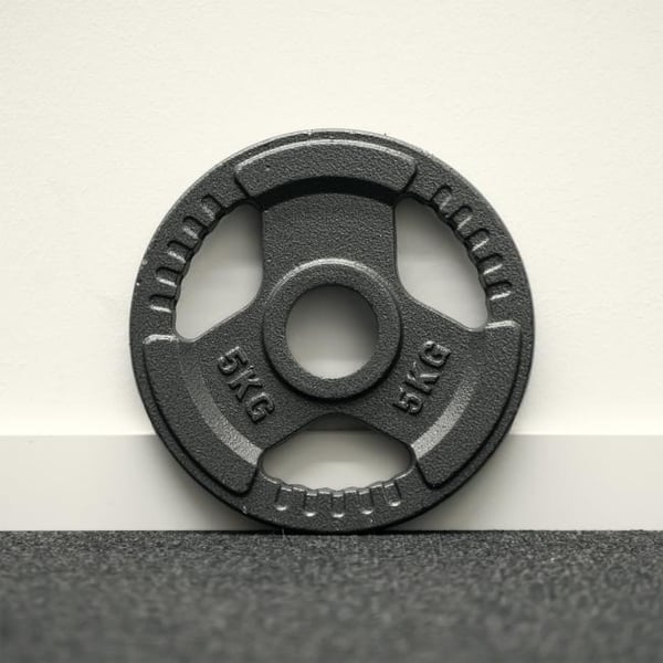 FitNord gjutjärn 50 mm viktplatta med grepp 5 kg 3