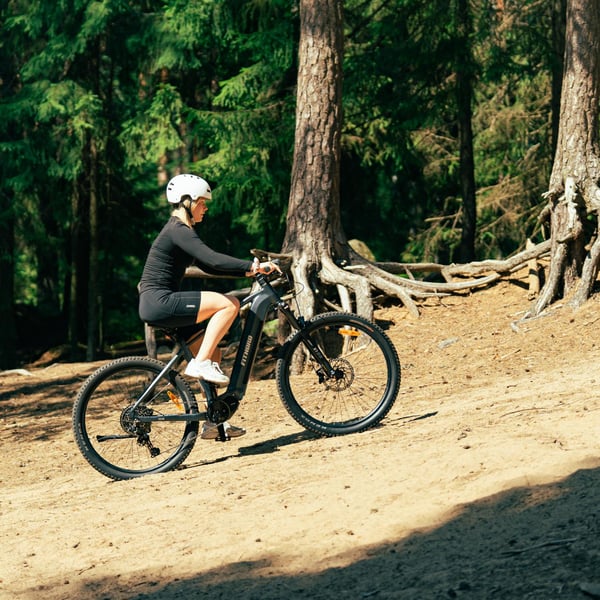 FitNord Ranger 800 Elmountainbike, grafit 10