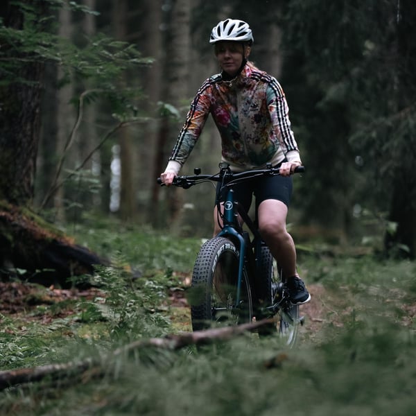 FitNord Rumble 300 Elfatbike 2024, blå (720 Wh batteri) 5