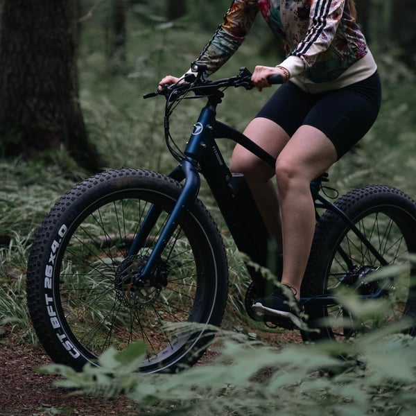 FitNord Rumble 300 Elfatbike 2024, blå (720 Wh batteri) 3