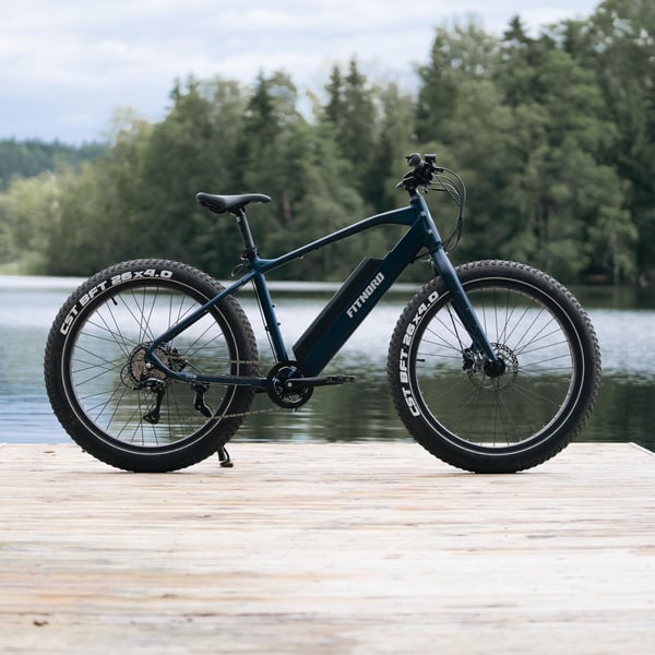 FitNord Rumble 300 Elfatbike 2024, blå (720 Wh batteri) 8