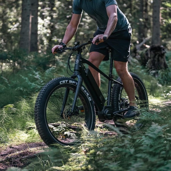 FitNord Rumble 500 Elfatbike 2024, svart (720 Wh batteri) 3