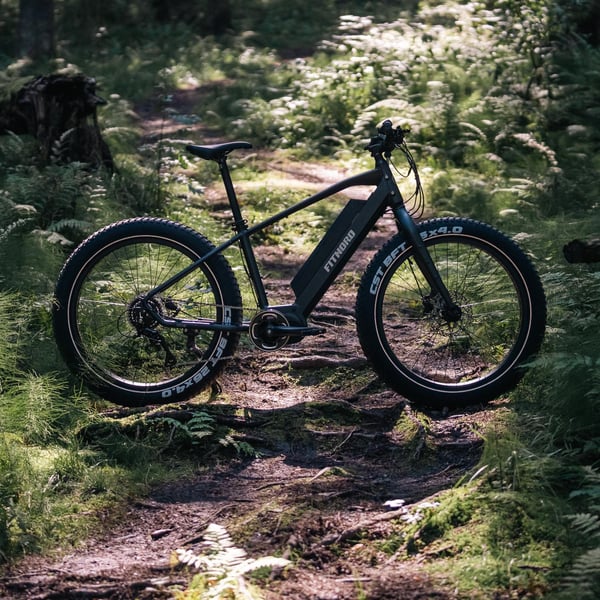 FitNord Rumble 500 Elfatbike 2024, svart (720 Wh batteri) 10