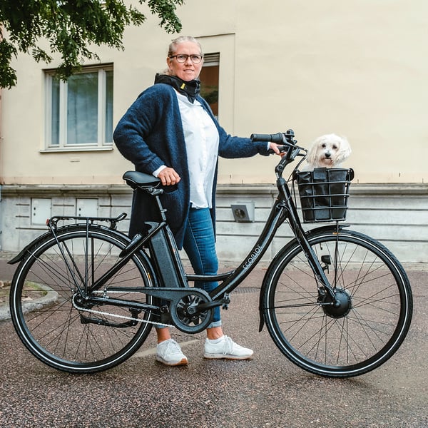 Ecoride Ambassador AXS H-7, Svart (576 Wh batteri) 7