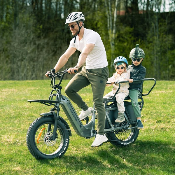 FitNord Cargo 350 Longtail Elcykel, grå 2