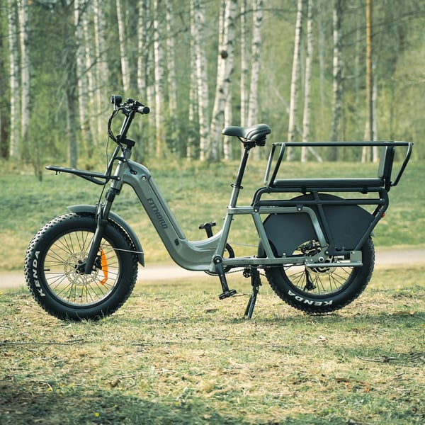 FitNord Cargo 350 Longtail Elcykel, grå 12