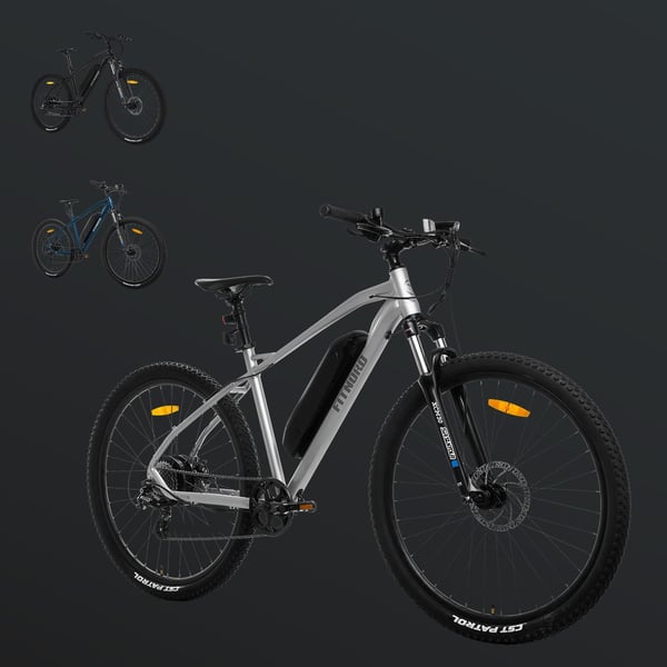 FitNord Ranger 200 Elmountainbike 2024, silver (540 Wh batteri) 2