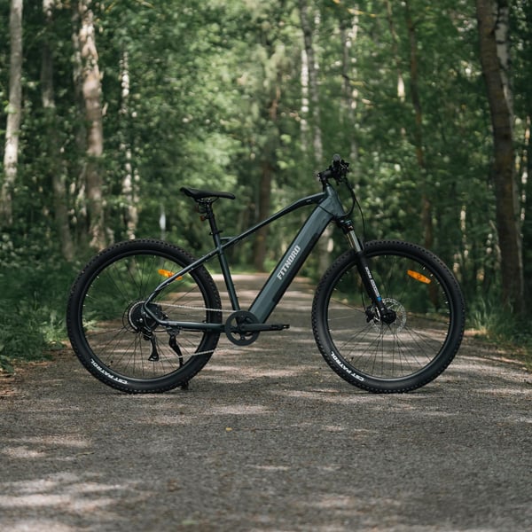 FitNord Ranger 300 Elmountainbike G2, svart 12