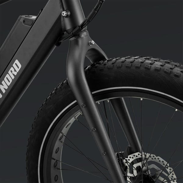 FitNord Rumble 500 Elfatbike 2024, svart (720 Wh batteri) 13