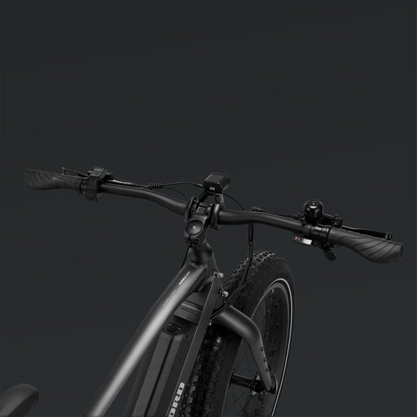 FitNord Rumble 500 Elfatbike 2024, svart (720 Wh batteri) 15