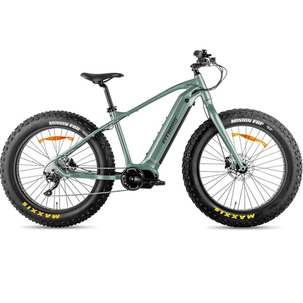 FitNord Rumble 900 Elfatbike, mintgrön (882 Wh batteri)  med ytterligare ett års garanti 1