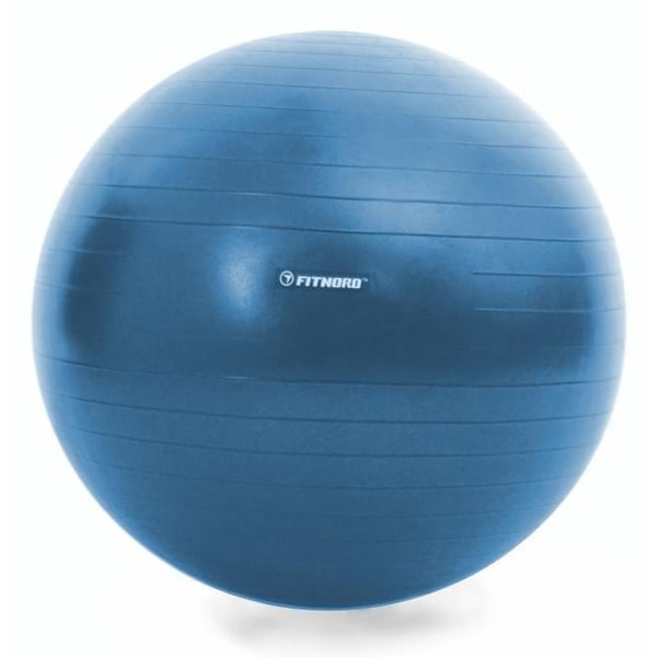 FitNord Pilatesboll 65cm 2