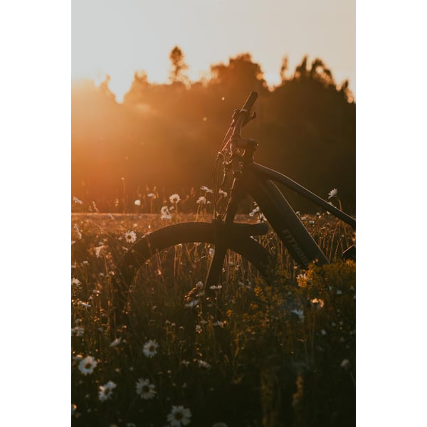 FitNord Ranger 900 Elmountainbike G2, svart 12