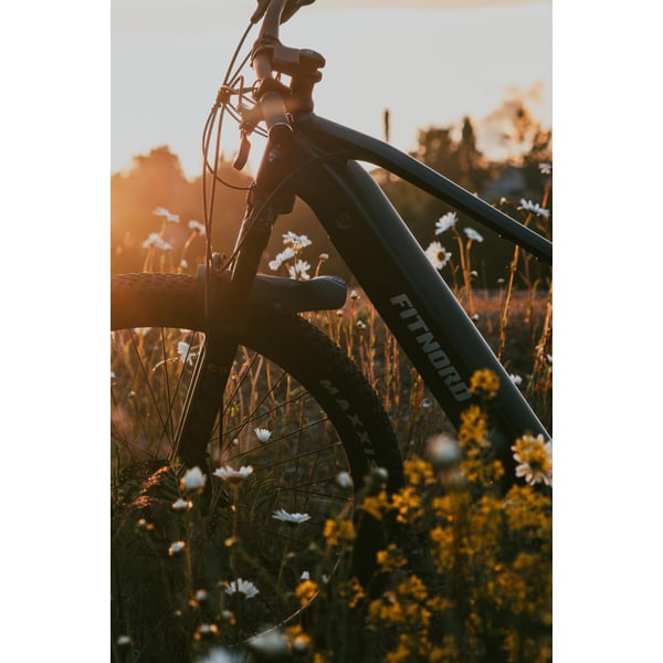 FitNord Ranger 900 Elmountainbike G2, svart 11