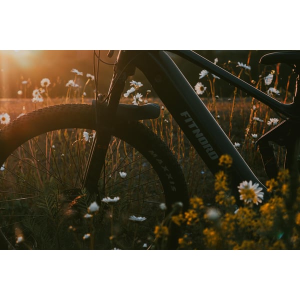 FitNord Ranger 900 Elmountainbike G2, svart 14