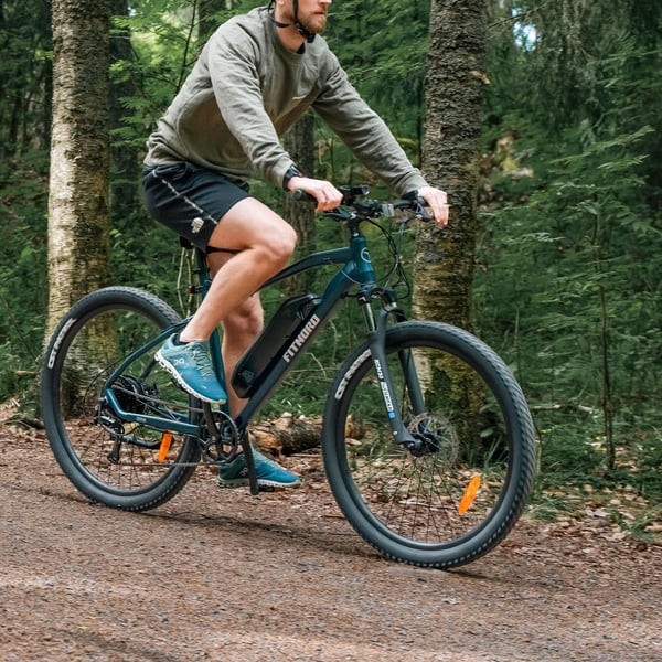 FitNord Ranger 200 Elmountainbike 2024, blå (540 Wh batteri) 2