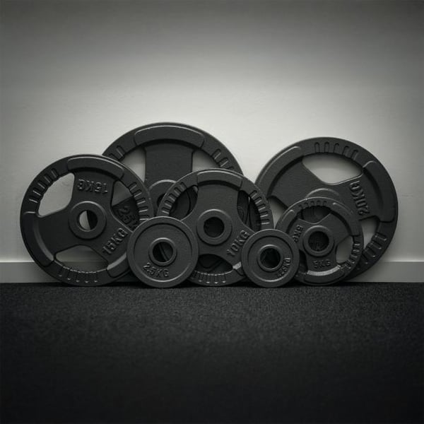 FitNord gjutjärn 50 mm viktplatta med grepp 5 kg 4