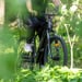 FitNord Ranger 300 Elmountainbike, svart (720 Wh batteri) 11
