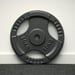 FitNord Viktskiva med grepp 30 mm, Gjutjärn 10 kg 2