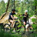FitNord Ranger 800 Elmountainbike, grafit 8