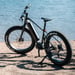 FitNord Rumble 500 Elfatbike 2024, svart (720 Wh batteri) 8