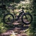 FitNord Rumble 500 Elfatbike 2024, svart (720 Wh batteri) 10