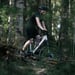 FitNord Ranger 500 Elmountainbike 2024, silver (612 Wh batteri) 3