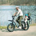 FitNord Cargo 350 Longtail Elcykel, grå 6