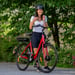 FitNord Classic 200 Elcykel, röd (540 Wh batteri) 8