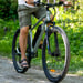 FitNord Ranger 200 Elmountainbike, mintgrön (540 Wh batteri)  med ytterligare ett års garanti 12