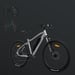 FitNord Ranger 200 Elmountainbike 2024, silver (540 Wh batteri) 2