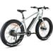 FitNord Rumble 300 Elfatbike, mintgrön (720 Wh batteri)  med ytterligare ett års garanti 3