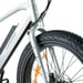 FitNord Rumble 300 Elfatbike, mintgrön (720 Wh batteri)  med ytterligare ett års garanti 7