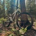 Feddz PF-1 heldämpad elmountainbike, vit (630 Wh batteri) 2